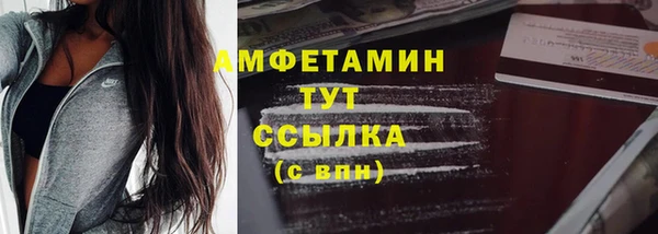 СК Алексин