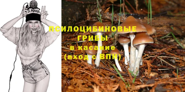 СК Алексин