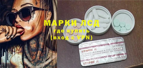 СК Алексин
