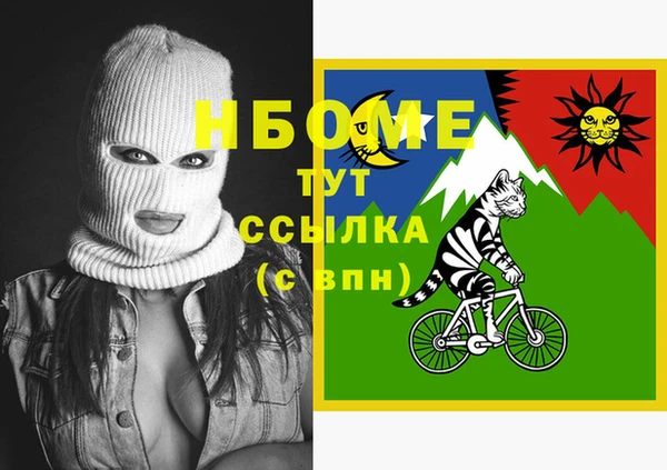 СК Алексин