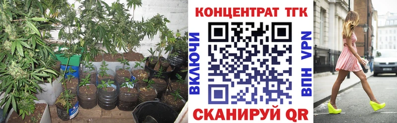 Дистиллят ТГК жижа  hydra tor  Ливны 