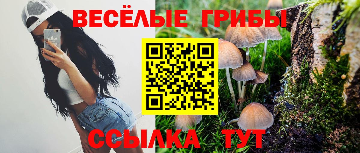 Псилоцибиновые грибы мухоморы Ливны