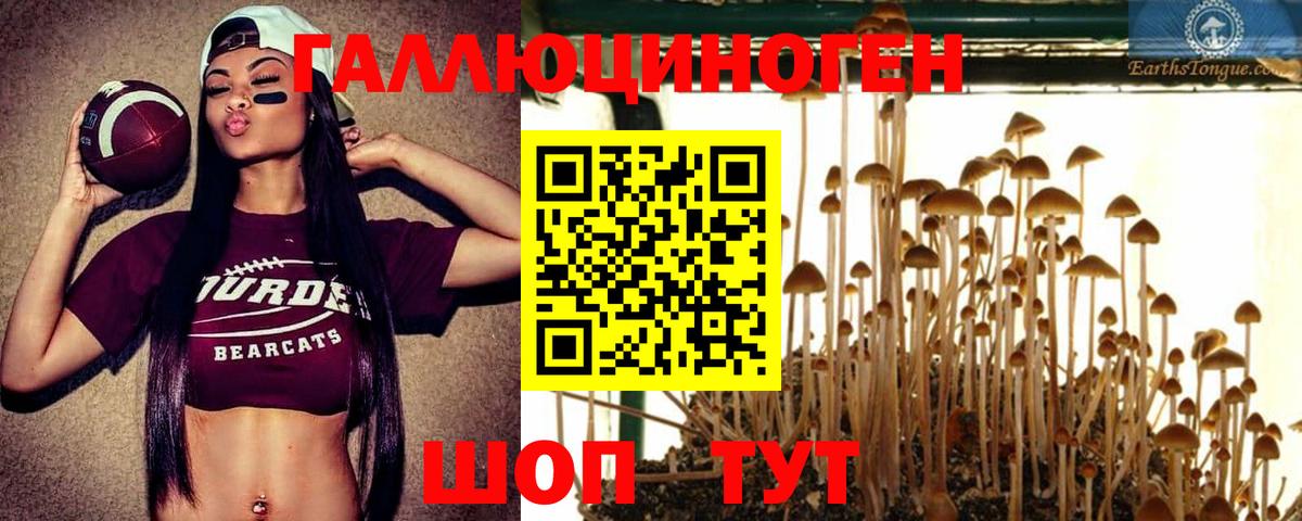 Ливны  Галлюциногенные грибы Psilocybine cubensis  Вход с VPN 